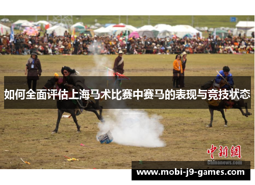 如何全面评估上海马术比赛中赛马的表现与竞技状态