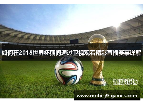 如何在2018世界杯期间通过卫视观看精彩直播赛事详解