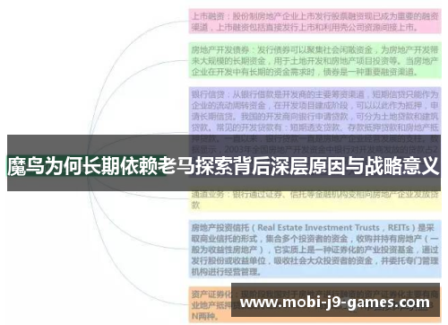魔鸟为何长期依赖老马探索背后深层原因与战略意义 魔鸟为何长期依赖老马探索背后深层原因与战略意义